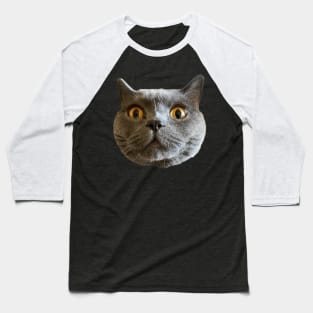 Chartreux Baseball T-Shirt